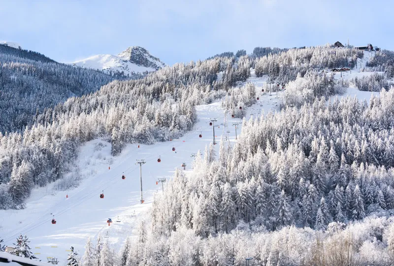 Snowy trees, a cable car lift line and ski run pictured from above