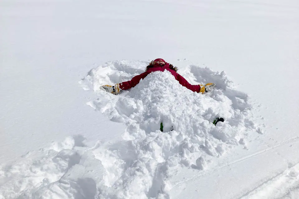 Too much snow?