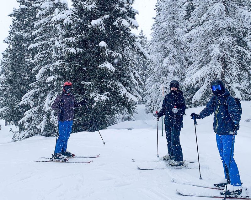 Three skiiers standing in front of snowy trees.