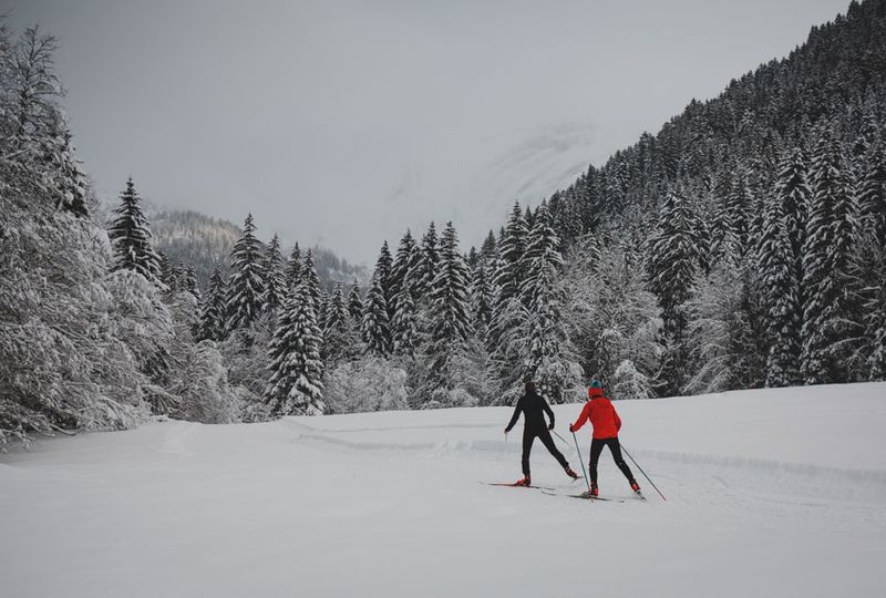 Crosscountry skiing in a wintry setting, snow on trees