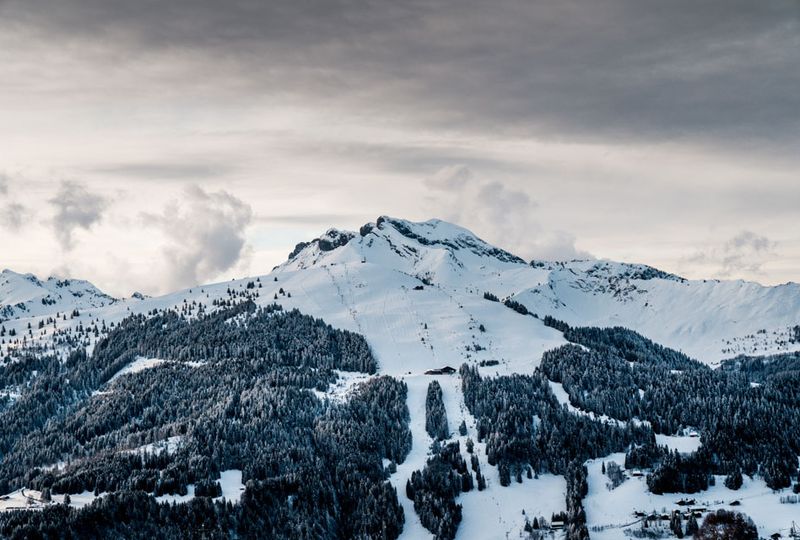 Moody lighting makes the mountainscape look almost black and white: a ski hill with runs cut into the alpine and snowy slopes